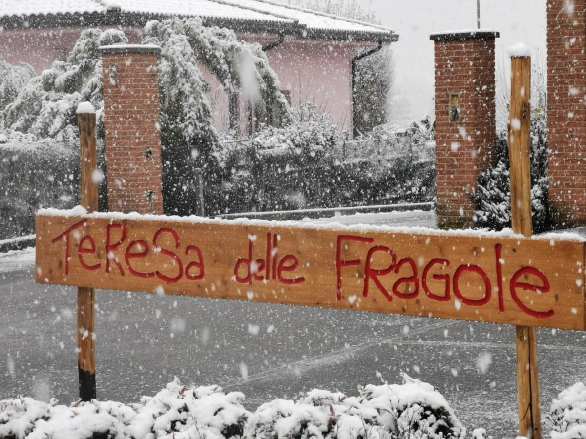 Agriturismo Teresa delle Fragole Vigano Esterno foto